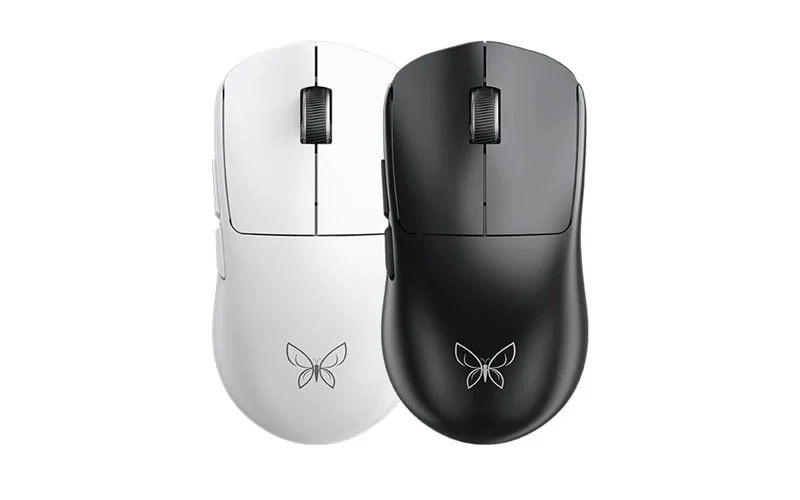 Xingmeng Butterfly