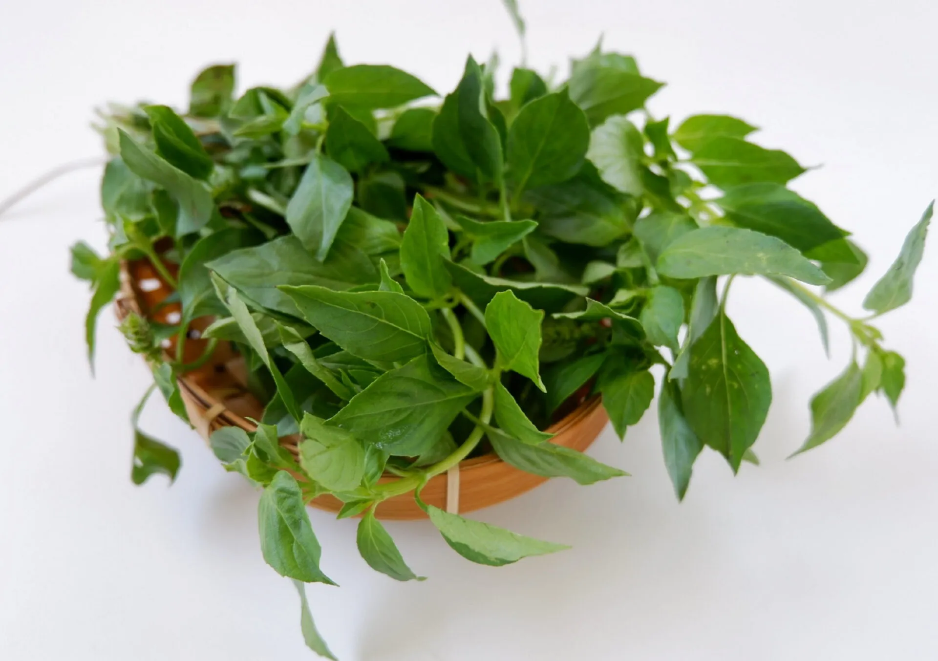 manfaat daun kemangi