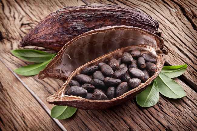 manfaat rasa buah coklat